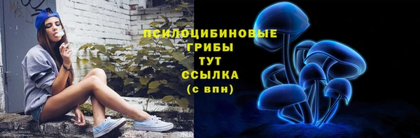 a pvp Михайлов
