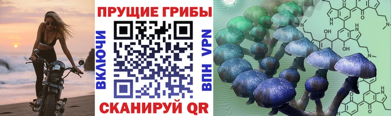 Псилоцибиновые грибы прущие грибы  как найти закладки  Жирновск 